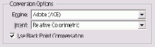  Conversion Options 