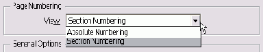  View  Page Numbering